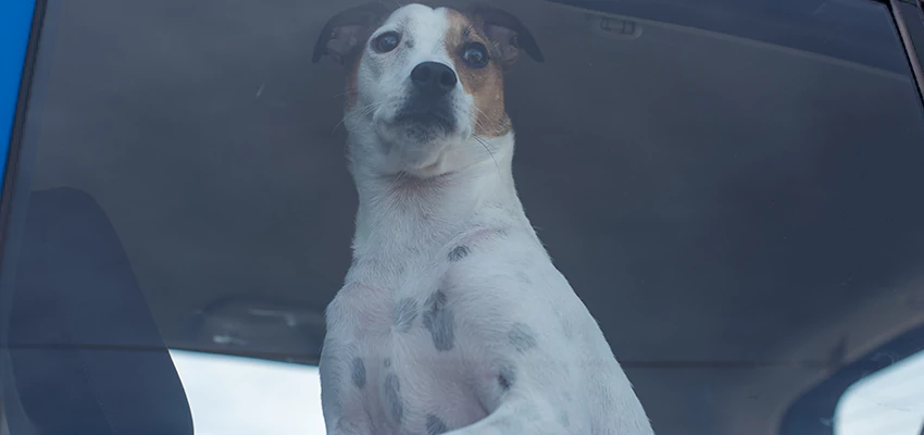 Car Lockout Solutions in Big Bear Lake, California